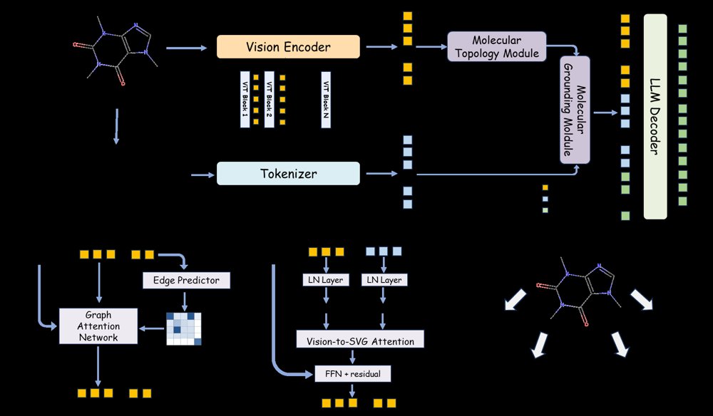 MolSight: A Graph-Aware Vision-Language Model for Unified Chemical Image Understanding Figure 1