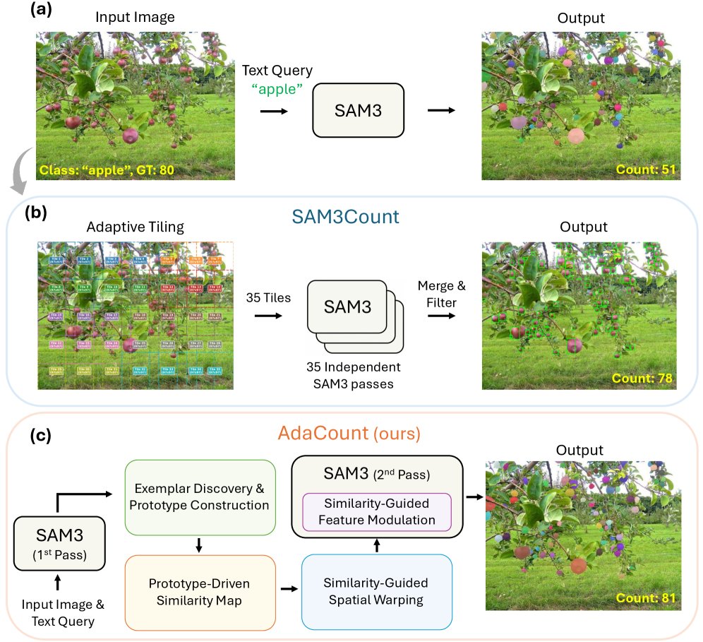 AdaCount: Training-Free Similarity-Guided Spatial and Feature Adaptation for Zero-Shot Object Counting Figure 1