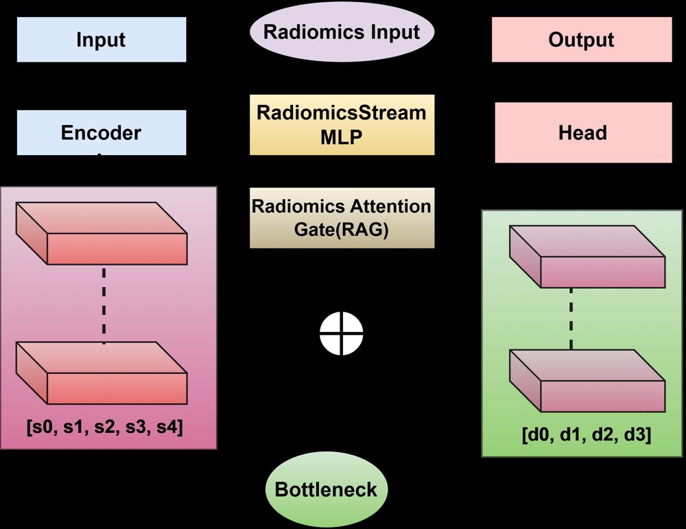 RadiomicNet: A Hybrid Radiomics-Guided Lightweight Architecture for Interpretable Medical Image Segmentation Figure 1