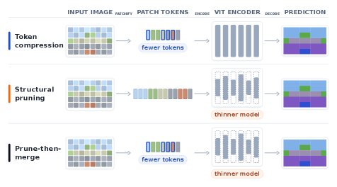 When Token Compression Breaks: Structural Pruning vs. Token Reduction for Robust ViT Segmentation under High Compression Figure 1
