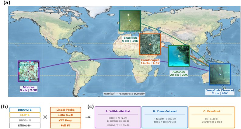 How many labels do you need? A decision framework for cross-habitat marine species recognition Figure 1