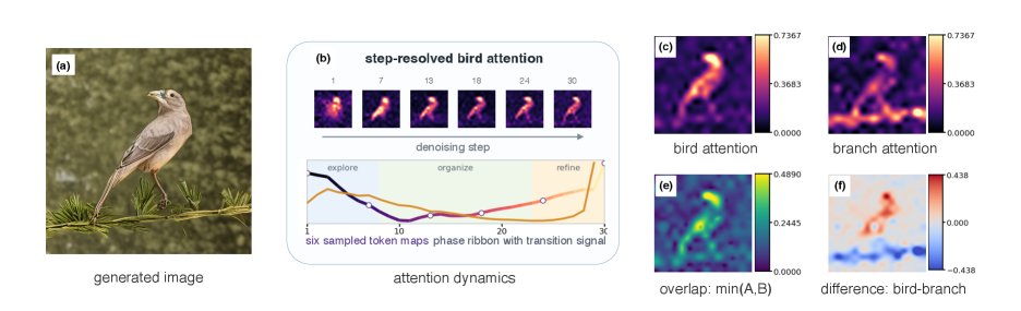 Attention Dynamics in Diffusion Models: A Visual Analytics Framework for Human-AI Collaboration Figure 1