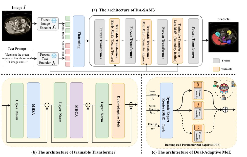 Dual-Adaptive SAM3: Hierarchical Routing over Low-Rank Expert Layers for Parameter-Efficient Medical Image Segmentation Figure 1