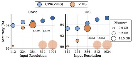 CPR: Chained Perceptual Refinement for Coarse-to-Fine Medical Image Classification Figure 1