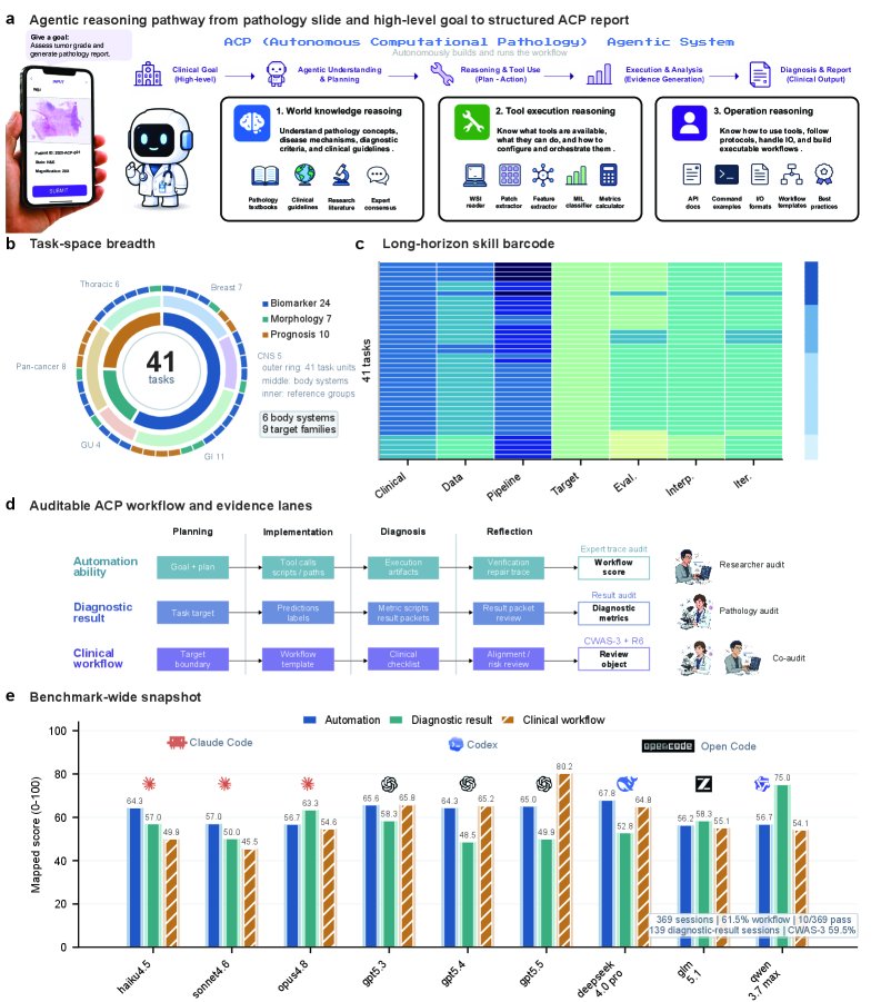 Evaluating Agentic Harness Systems for Autonomous Computational Pathology Figure 1