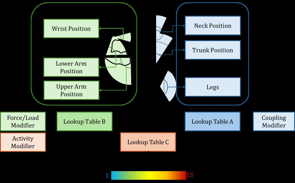 Privacy-Preserving Industrial Ergonomics: mmWave-Based Automated REBA Scoring and Pose Estimation Figure 1