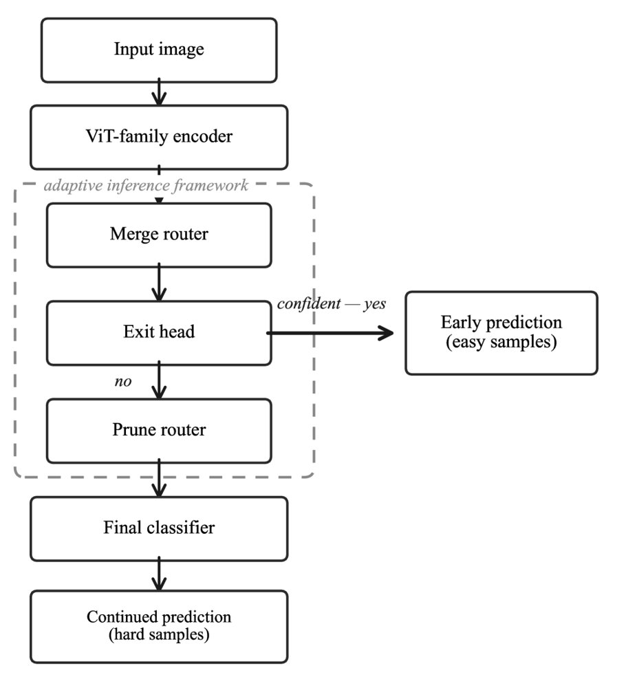 Fusion: A Framework for Unified Sequential Token AdaptatIon in VisiOn TraNsformers Figure 1