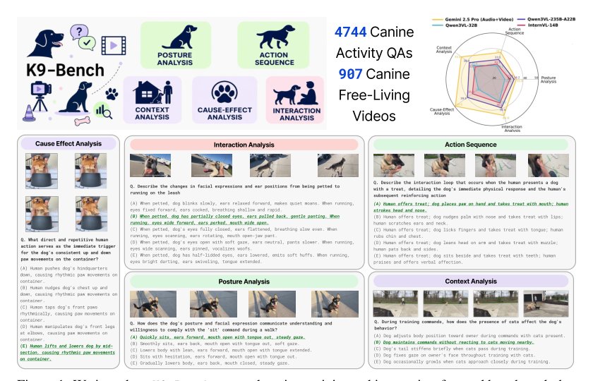 K9-Bench: Evaluating Multimodal LLMs on Canine-Centric Videos Figure 1