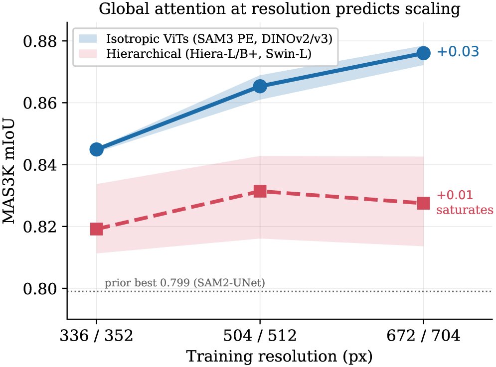When Does Resolution Help a Frozen Backbone? Global Attention at Resolution Predicts Scalable Adaptation for Camouflaged and Marine Animal Segmentation Figure 1