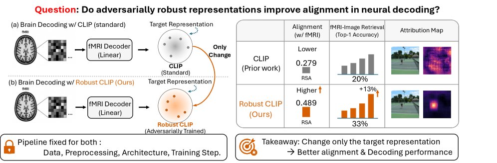 Rethinking Brain Decoding with CLIP: The Role of Adversarial Robustness Figure 1