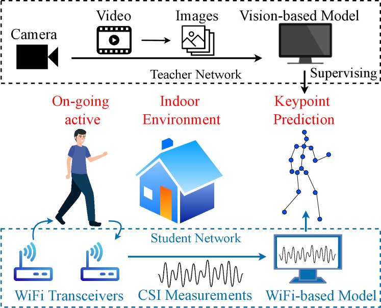 Seeing Through WiFi: Lightweight Human Pose Estimation with Dynamic Kernel Attention Figure 1