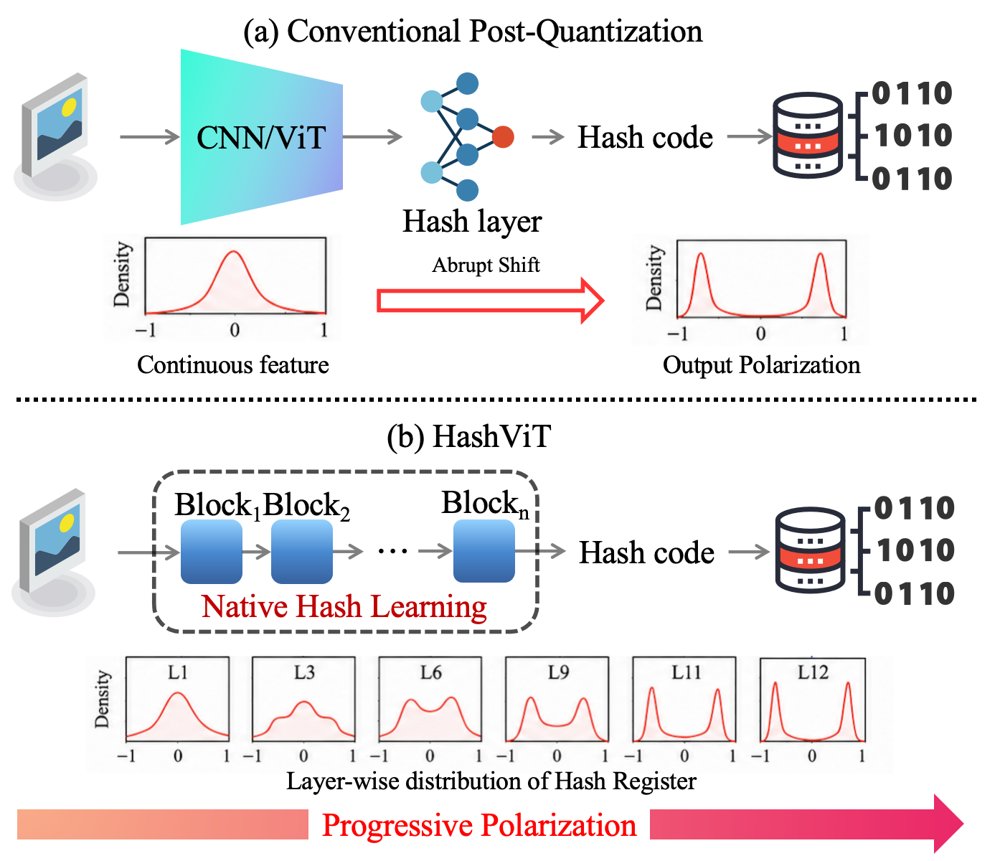 Beyond Post-Quantization: Native Hash Learning with a Dedicated HASH Token Figure 1