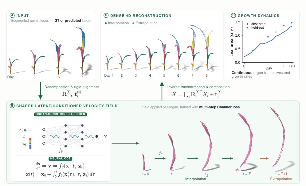 GrowFields: Compositional 4D Neural Fields for Topology-Changing Plant Growth Figure 1