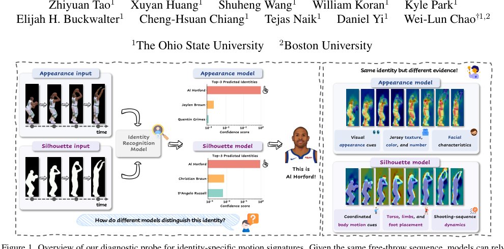 Probing Identity-Specific Motion Signatures: A Controlled Diagnostic Study Figure 1
