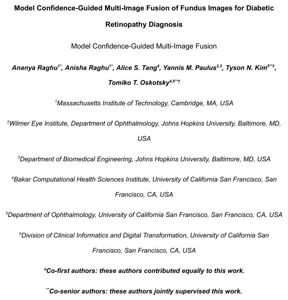 Model Confidence-Guided Multi-Image Fusion of Fundus Images for Diabetic Retinopathy Diagnosis Figure 1