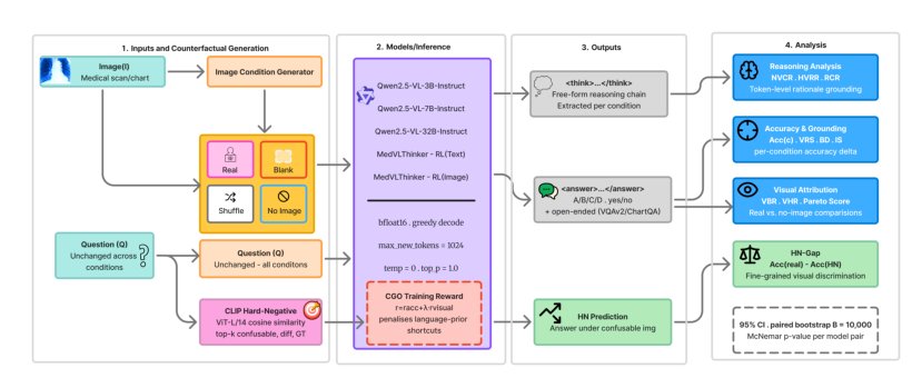 Do Medical Vision Language Models Actually See? A Counterfactual Grounding Framework and Hard-Negative Contrastive Training for Visually-Reliant Medical VLMs Figure 1