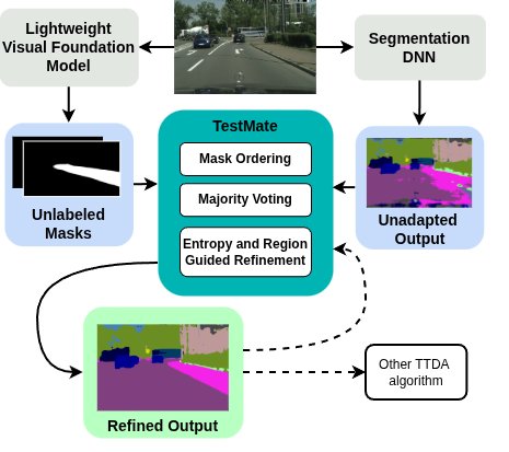 TestMate: Test-Time Domain Adaptation Aided by Lightweight Vision Foundation Model Figure 1