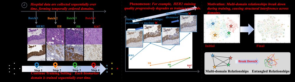 ContiStain: Cross-Domain Relation-Preserving Distillation for Continual Multi-Domain Virtual IHC Staining Figure 1