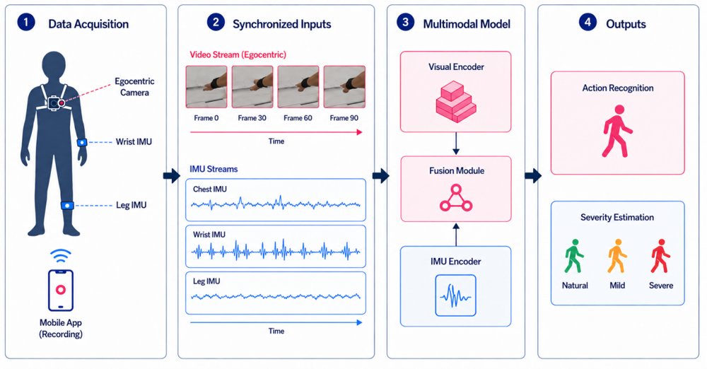 EgoInertia-MI: A Multimodal Egocentric Vision and IMU Benchmark for Motor Impairment Assessment Figure 1