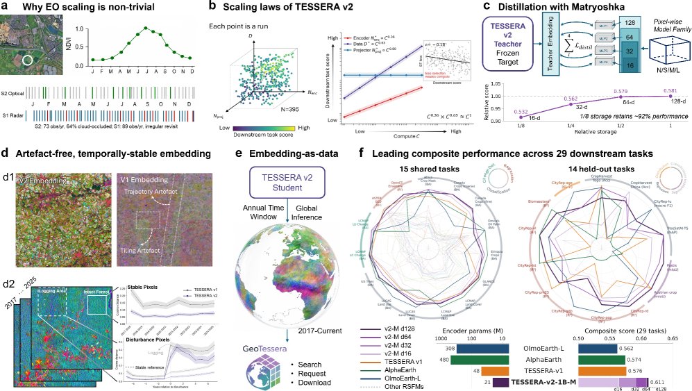 TESSERA v2: Scaling Pixel-wise Earth Foundation Models Figure 1