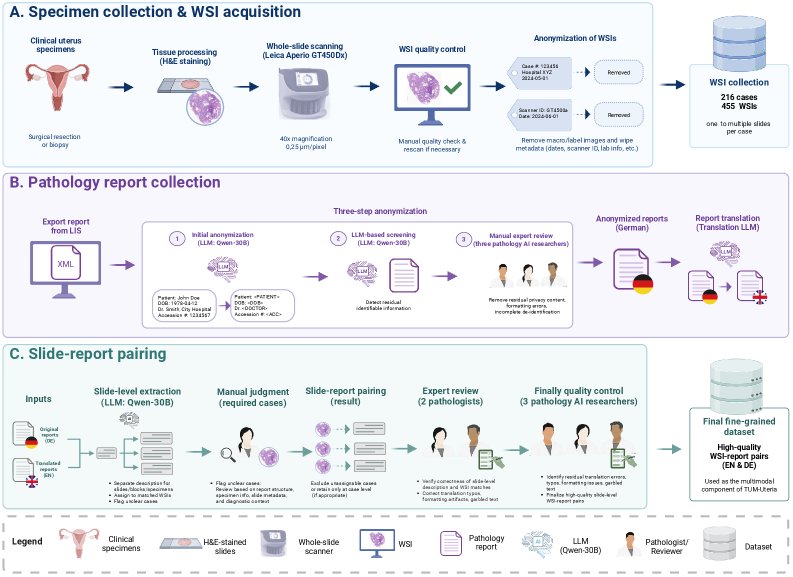 Paired Uterine Whole-Slide Images and Pathology Reports for Multimodal Computational Pathology Figure 1
