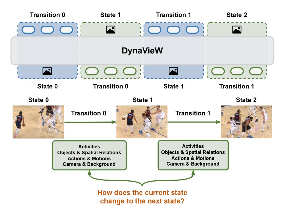 DynaVieW: Schema-Guided World Modeling for Understanding Hierarchical Visual Dynamics Figure 1