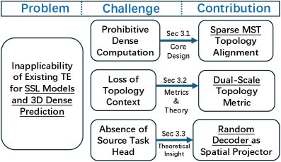 Topology-Driven Transferability Estimation for 3D Medical Vision Foundation Models Figure 1
