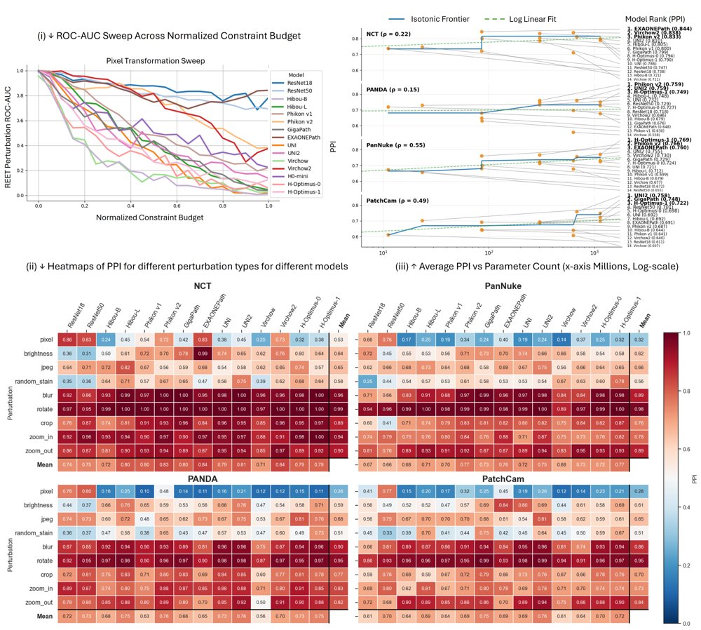 The Good, the Bad, and the Brittle: Benchmarking Robustness and Generalisation of Histopathology Foundation Models Figure 1