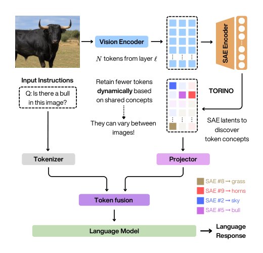 TORINO: Token Reduction via Interpretable Concept Overlap in Vision-Language Models Figure 1