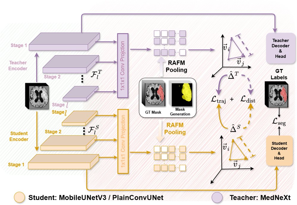 Displacement Preserving Relational Distillation for Robust Medical Segmentation Figure 1