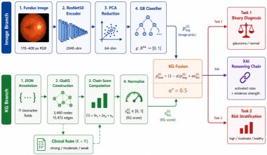 GlaKG: A Biomarker-Centric Fundus Knowledge Graph for Explainable Glaucoma Diagnosis and Risk Assessment Figure 1