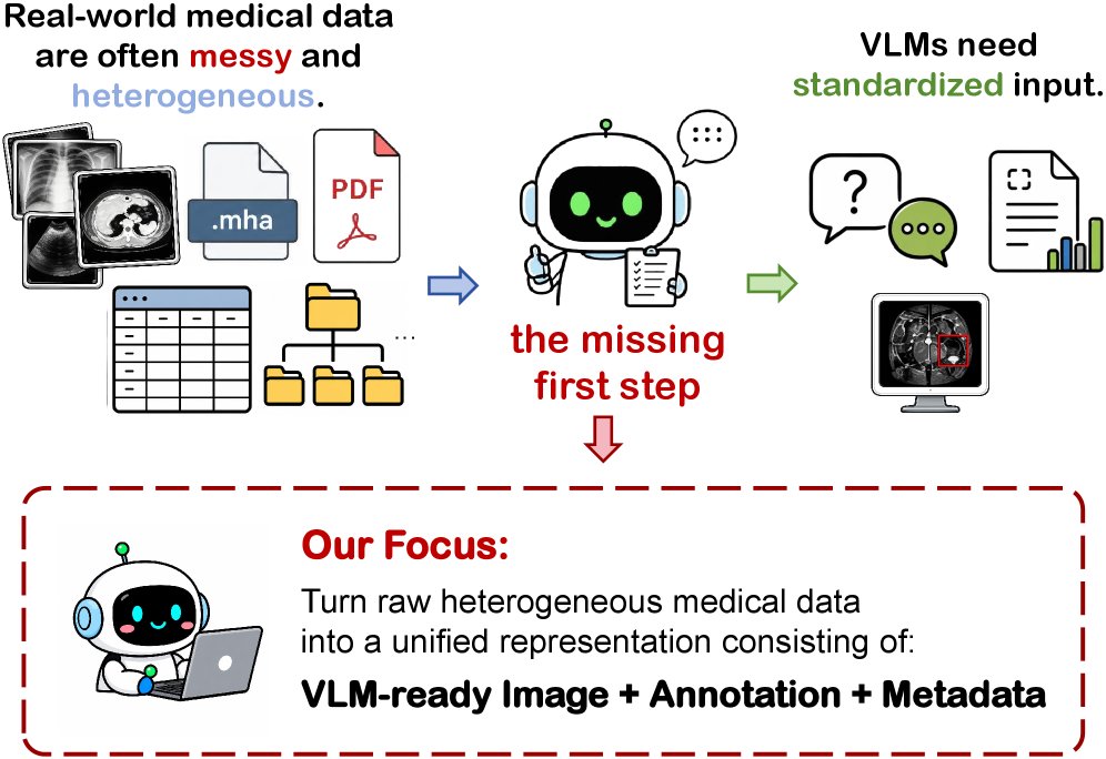 Solve the Missing First Step: Can VLMs Standardize Raw Heterogeneous Medical Data? Figure 1