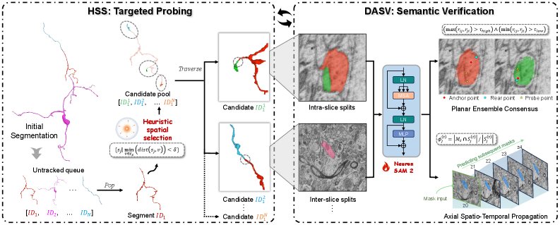 Probe-EM: Targeted Neuron Tracing via Training-Free Semantic Verification Figure 1