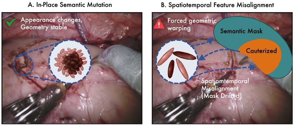 DeGenseGS: Geometrically and Semantically Decoupled Surgical Scene Understanding in 4D Gaussian Splatting Figure 1