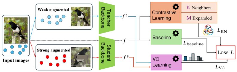 Virtual Category-Guided Continual Generalized Category Discovery Figure 1