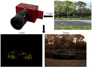 An event-driven framework for fly-inspired visual motion detection Figure 1