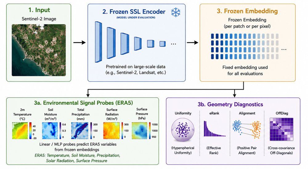 Probing Geospatial SSL Representations with Environmental Signals Figure 1