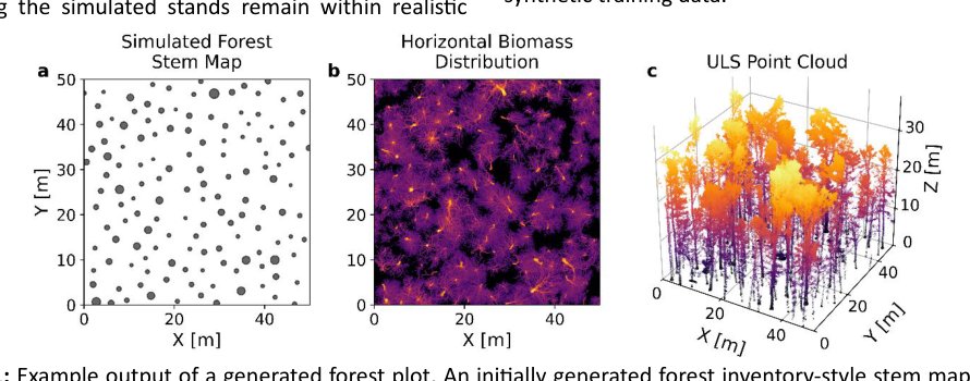 Shifting from Discrete to Continuous Reference Data: QSM-Derived Horizontal Tree Biomass Distribution for Deep Learning Biomass Estimation Figure 1