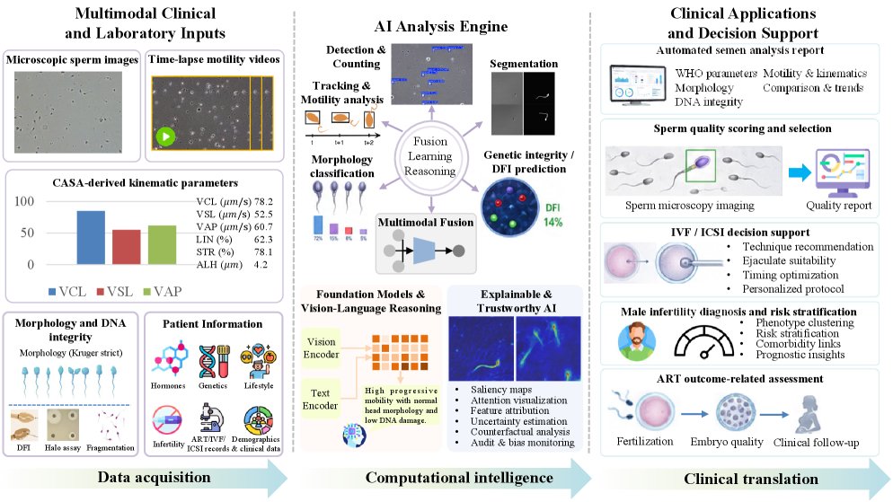 Deep Learning for Semen Analysis in Male Infertility: Computer Vision, Multimodal Fusion, and Clinical Translation Figure 1