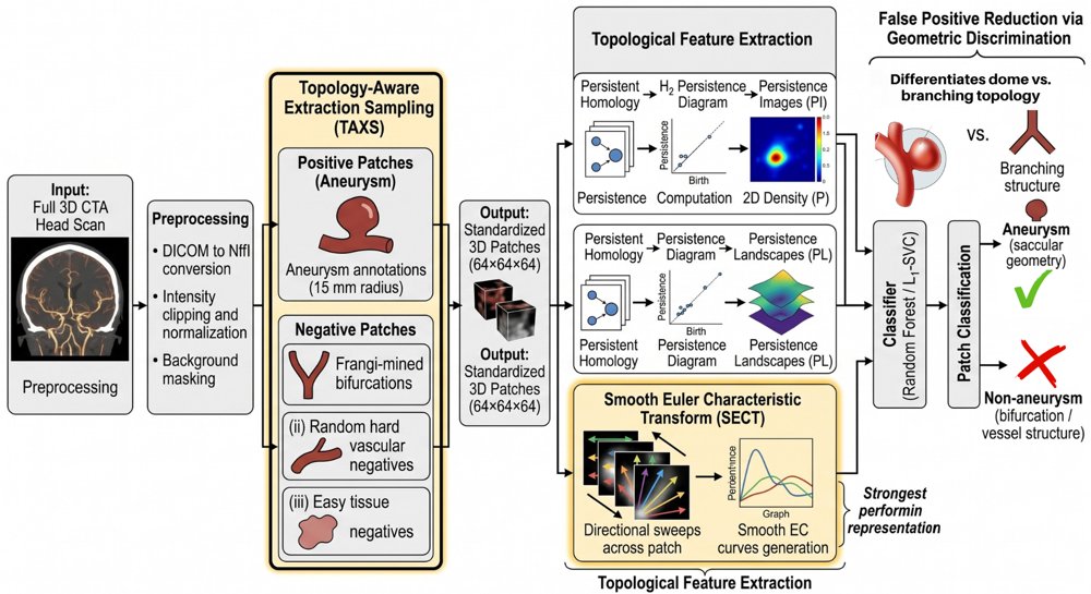 Topological Shape Representation for Aneurysm -- Bifurcation Detection Figure 1