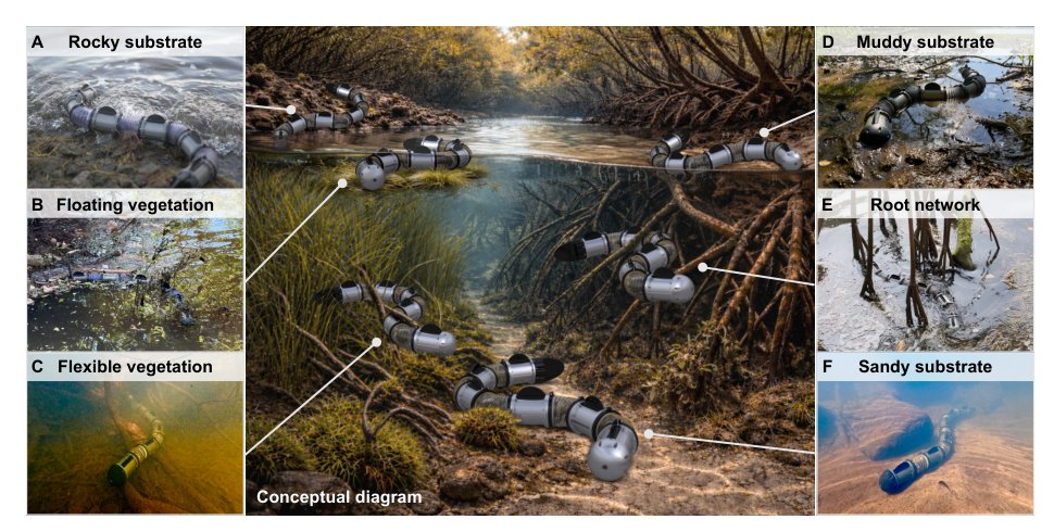 Three-dimensional hydro-cluttered locomotion by an undulatory robot Figure 1