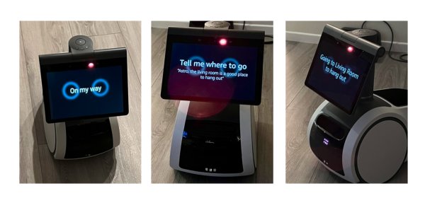 Astro, I'm Home! Investigating Factors that Influence the Acceptance of Home Robots Using Supervised Machine Learning Figure 1