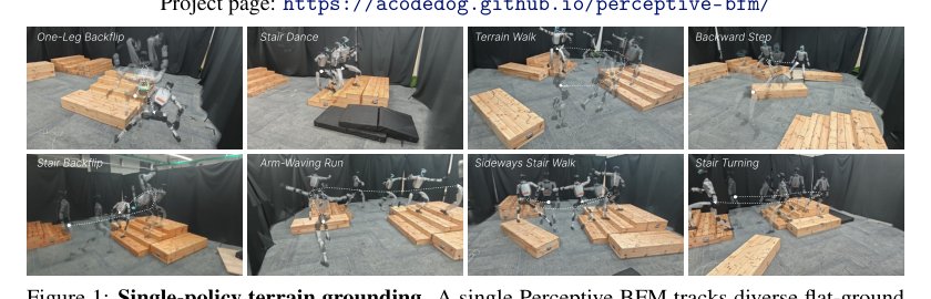 Perceptive Behavior Foundation Model: Adapting Human Motion Priors to Robot-Centric Terrain Figure 1