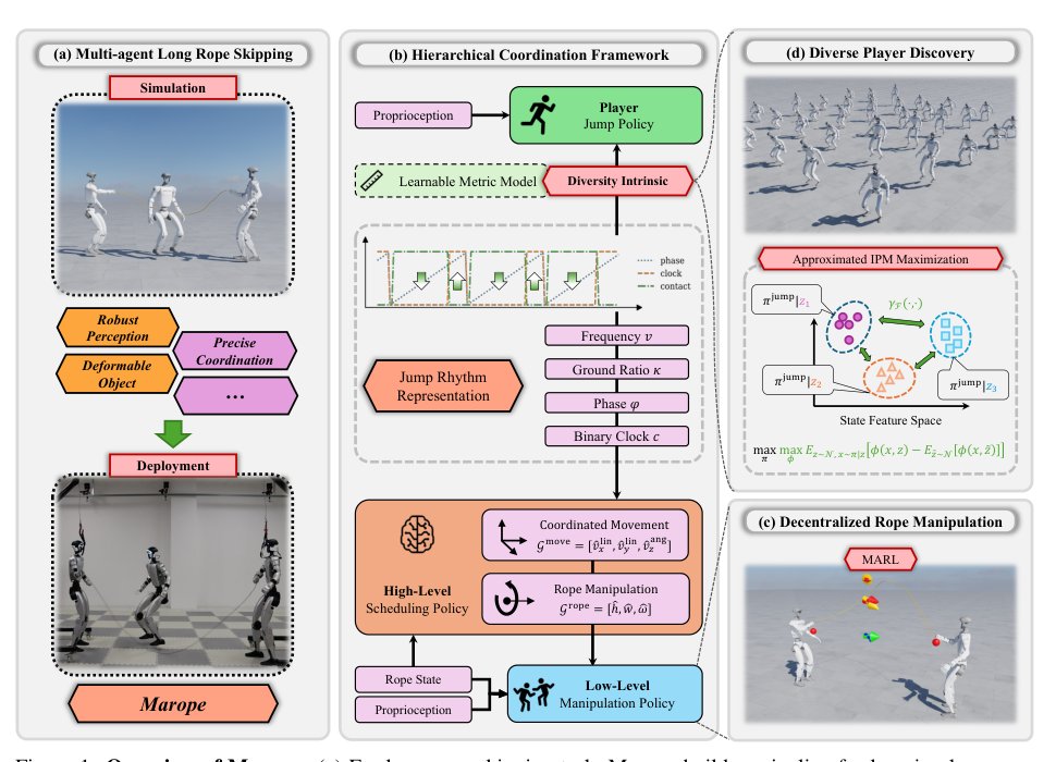 Cooperative Long Rope Skipping via Multi-Agent Reinforcement Learning Figure 1