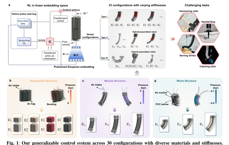 Reinforcement learning in linear embedding space unlocks generalizable control across soft robot configurations Figure 1