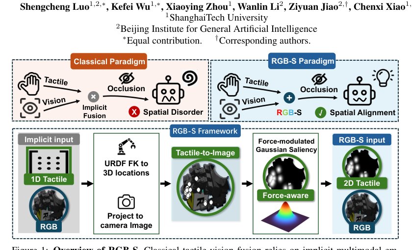 RGB-S: Image-Aligned Tactile Saliency for Robust Dexterous Manipulation Figure 1