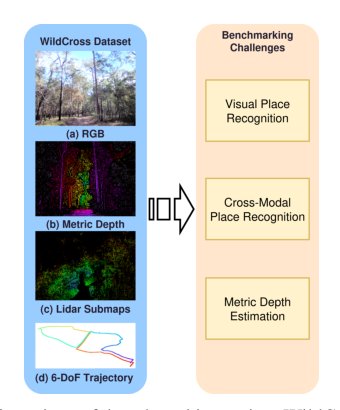 Cross-Modal Benchmarking for Robotic Perception in Natural Environments Figure 1