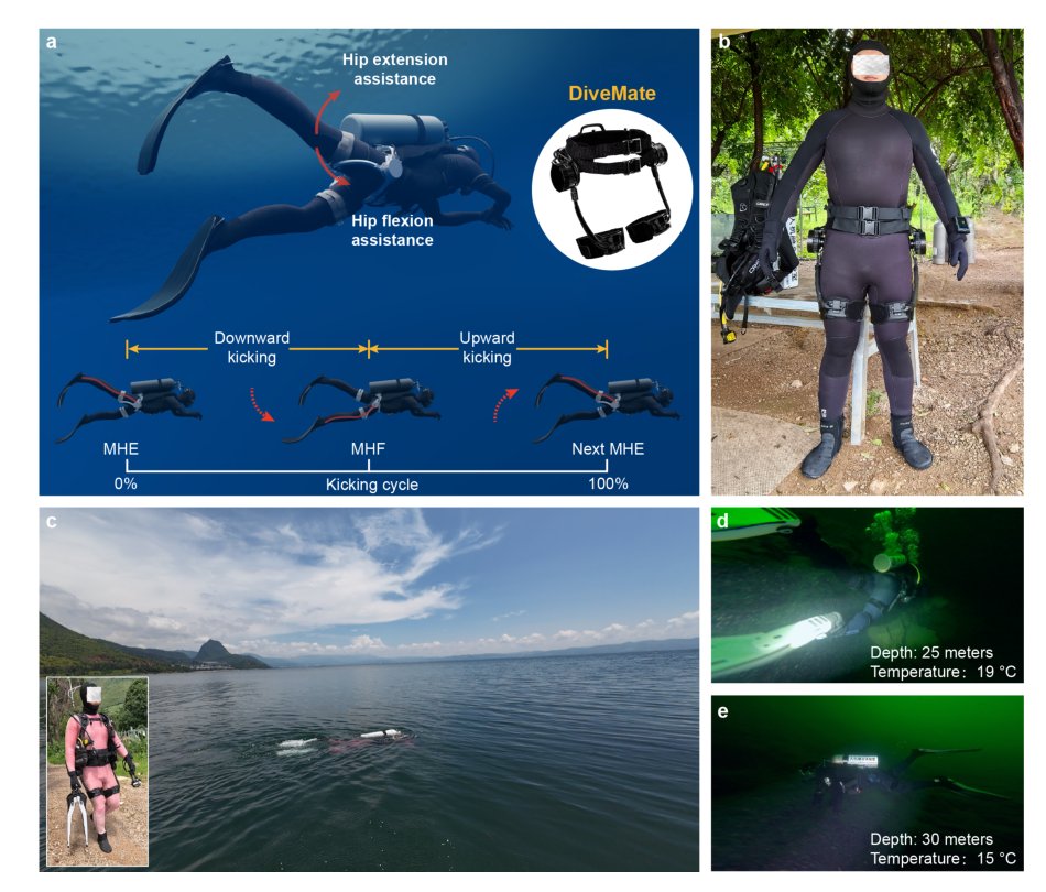 Improving Human Diving Endurance with a Field-Deployable, Untethered Exoskeleton Figure 1