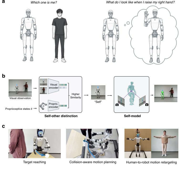 Proprioceptive-visual correspondence enables self-other distinction in humanoid robots Figure 1
