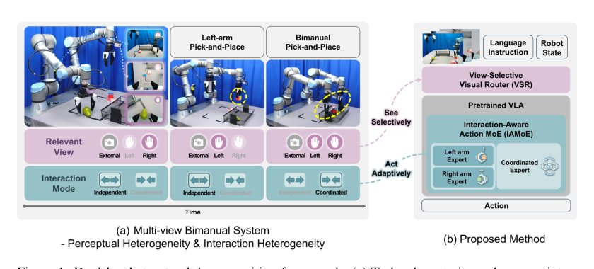 See Selectively, Act Adaptively: Dual-Level Structural Decomposition for Bimanual Robot Manipulation Figure 1